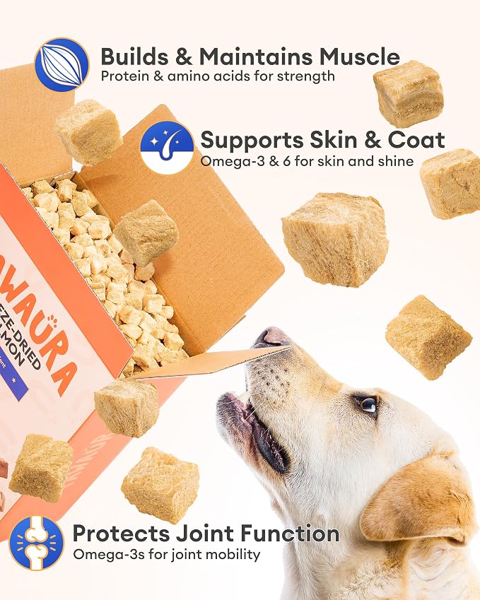 Freeze Dried Salmon Treats for Dogs & Cats – 10.58 oz, Single Ingredient, High-Protein, Natural High Value, Grain-Free, Healthy Pet Training Treats or Food Topper