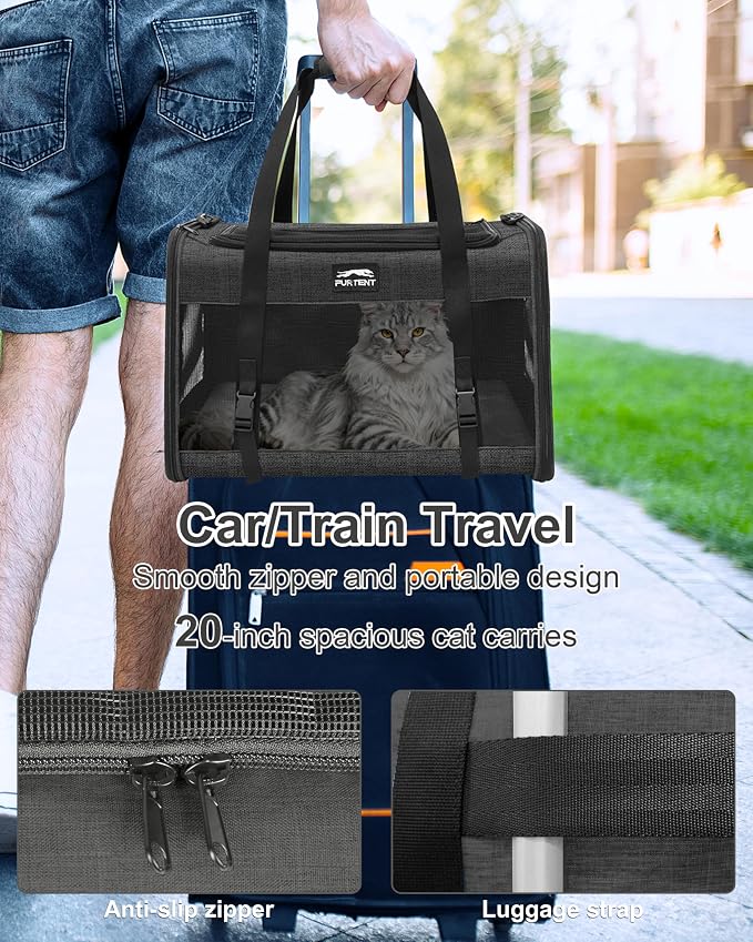 Soft-Sided Large Cat Carrier for 2 Cats, Spacious Foldable Pet Travel Carrier for Large Cats up to 25 Lbs, Double Cat Bag with Shoulder Strap, 20x13x13 Inch, Fits Maine Coon and Small Dogs, Black
