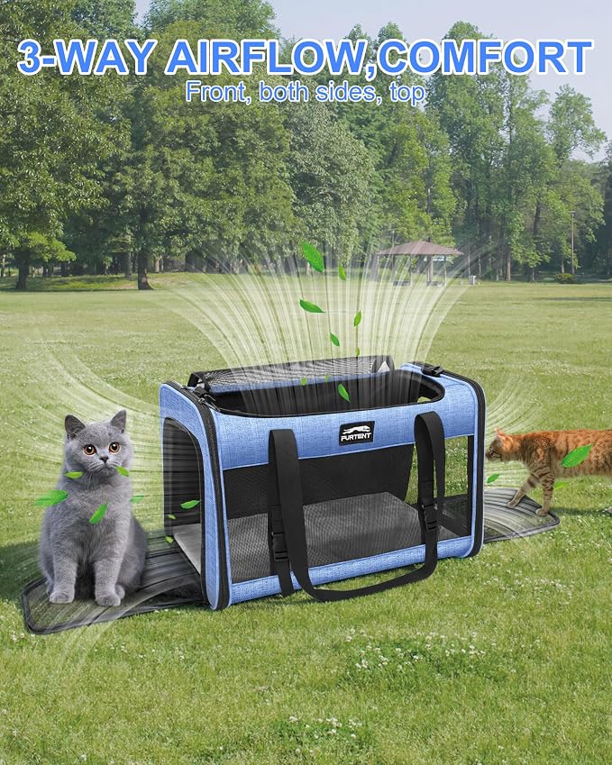Soft-Sided Large Cat Carrier for 2 Cats, Spacious Foldable Pet Travel Carrier for Large Cats up to 25 Lbs, Double Cat Bag with Shoulder Strap, 20x13x13 Inch, Fits Maine Coon and Small Dogs, Blue