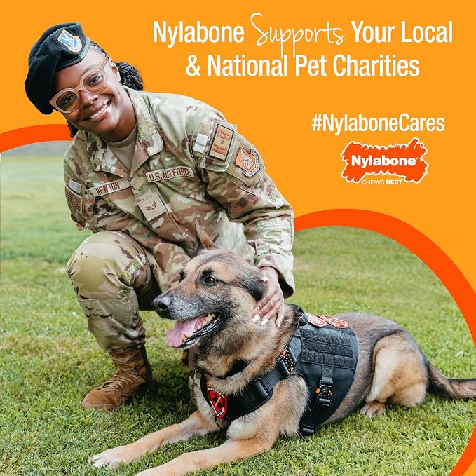 Nylabone Healthy Edibles Natural Puppy Chews Long Lasting Treats for Puppies, Lamb & Apple Flavor, X-Small/Petite (8 Count)