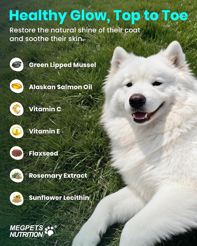NAD+ Glucosamine for Dogs Hip and Joint Supplement - 300 Soft Chews - Advanced Mobility Support with MSM, Chondroitin, Resveratrol & CoQ10 - Healthy Aging & Vitality