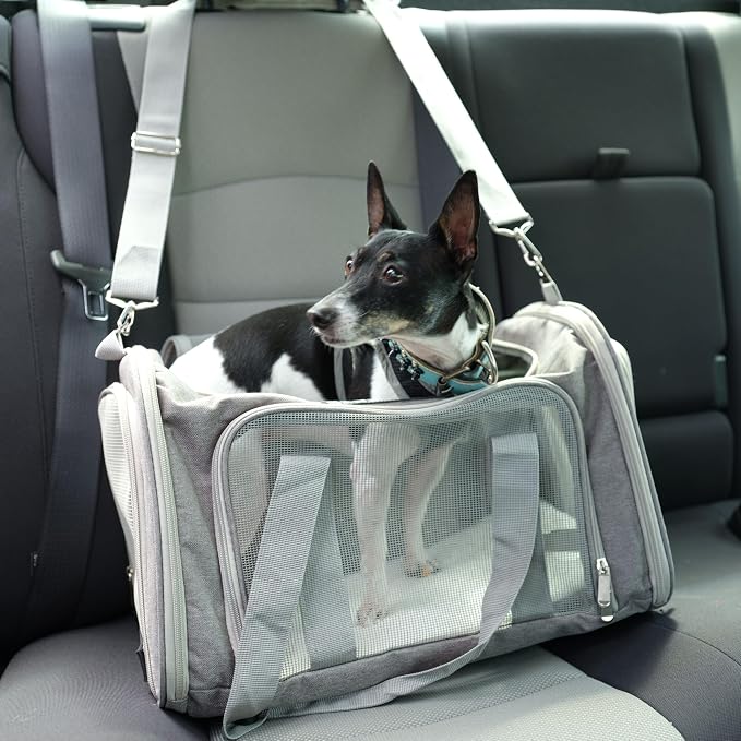 Jokari Cart Cruiser Airline Approved Pet Carrier for Versatile Travel in Car, Airplane, or Shopping Cart. Light and Compact Pet Accessories. Strap Attachments, Anti-Scratch Mesh with Top and Side Open