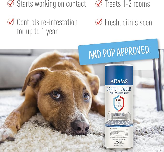 ADAMS Carpet Powder + Flea & Tick Dog Collar