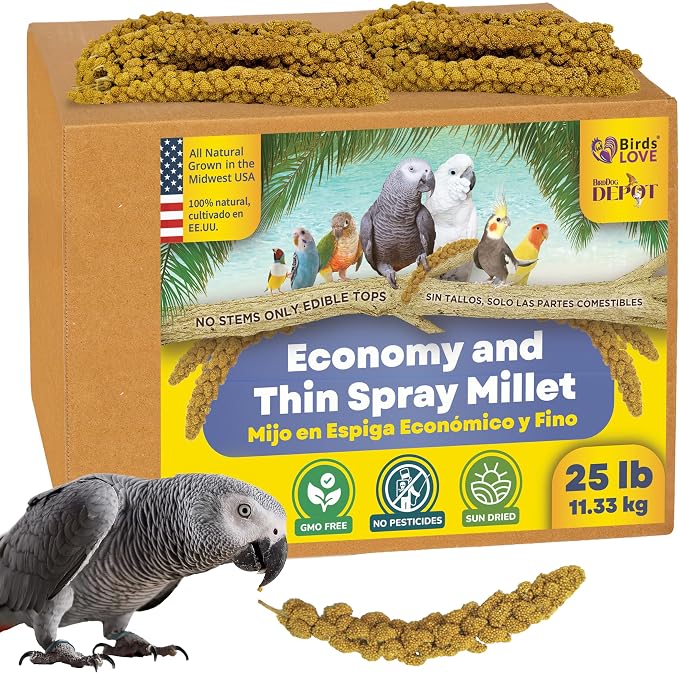 25lbs Economy & Special Spray Millet for Birds – GMO-Free, No Stems (Only Edible Tops) – 100% Natural Sun-Dried Foraging Treat for Cockatiels, Lovebirds, Parakeets, Finches & Canaries