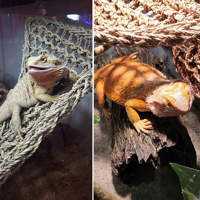 Bearded Dragon Hammock Reptile Lounger for Chameleon, Lizards, Geckos, Snakes, Lguana Reptiles, Tortoises Reptile & Amphibian Habitat Décor