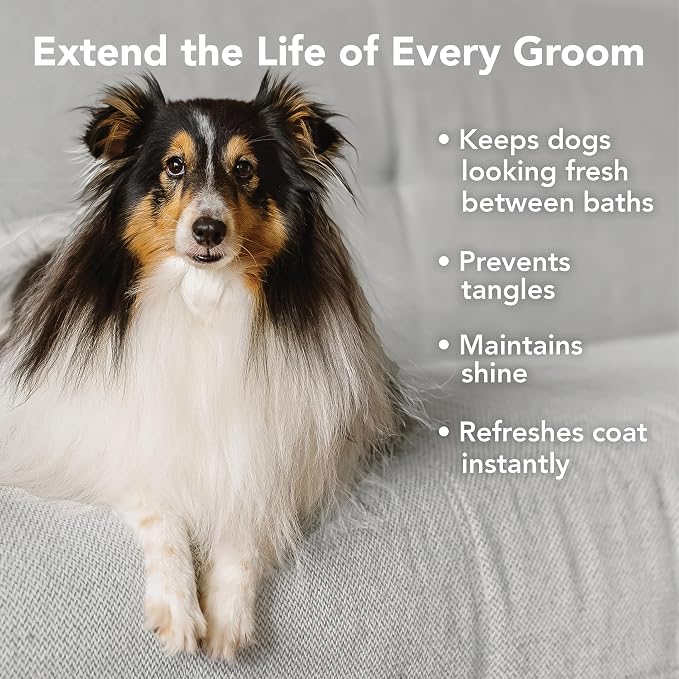 Pride and Groom The Leave in – Dog Conditioner and Detangler Spray Made in USA with Clean Ingredients & Signature Scent to Nourish, Moisturize, Repair, & Add Shine to All Pet Coat Types – 12 fl oz