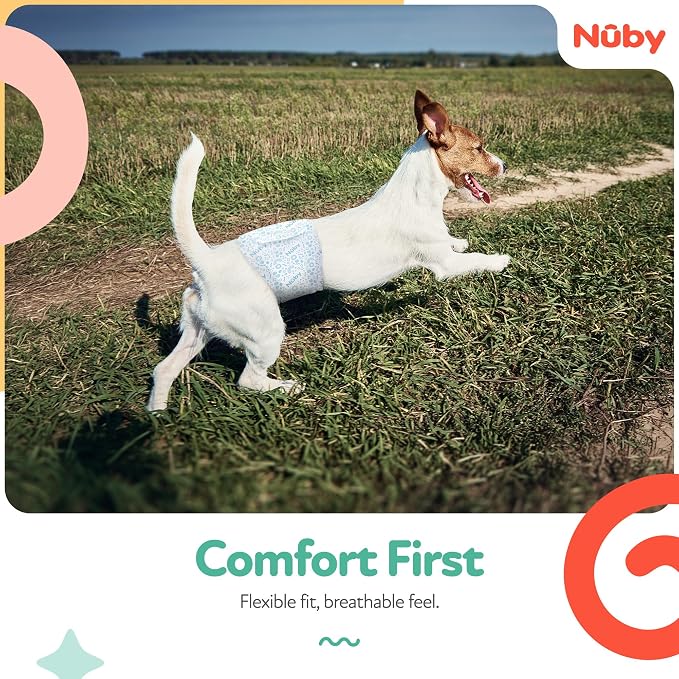 Nuby Pets Disposable Male Dog Wraps with Wetness Indicator, Absorbent & Leak-Resistant Belly Bands for Male Dogs, Small (12–19" Waist), 50 Count