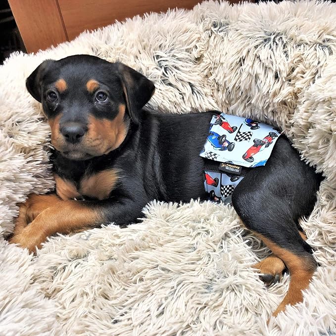 Pack of 6 Male Dog Diapers 4 - Layers of Absorbent Pads Waterproof Leak Proof Belly Band Wrap Washable (XS: Waist 7" - 10", Pack of 6 Colors)