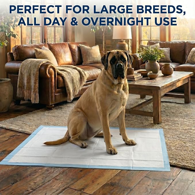 Pee Pads for Dogs Extra Large 37x54 XXL - 50 Count Leak Proof Heavy Duty with Adhesive Tabs – 24 Hour Absorbent Disposable Puppy Training Pads for Large Dog Breeds 6-Layer Non Slip Backing
