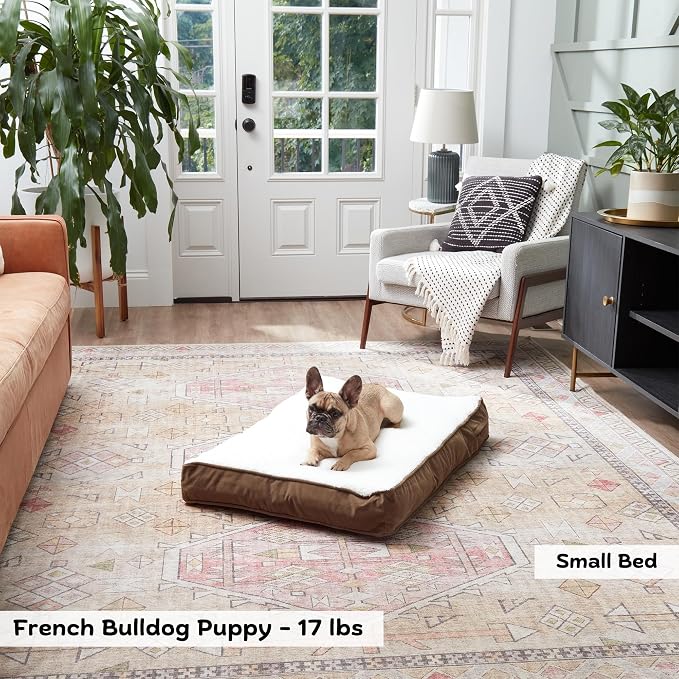 Happy Hounds Daisy Deluxe Supportive Sherpa Dog Bed, Small (36 x 24 in.), Mocha