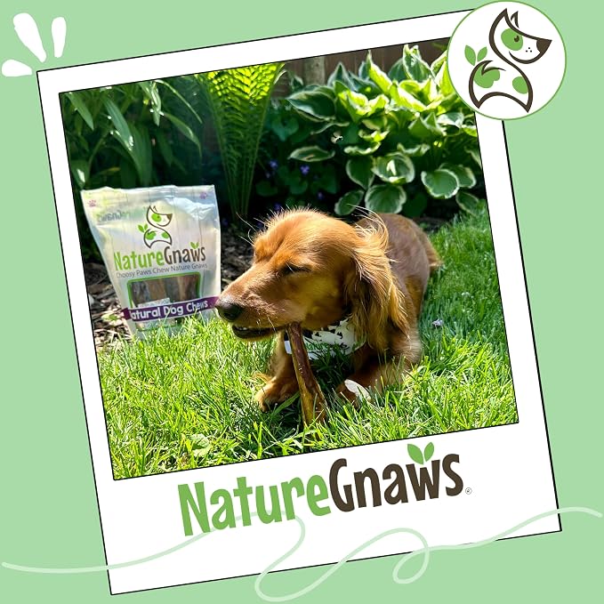 Nature Gnaws Thin Bully Sticks for Dogs 5-6" (8oz) - Mixed Thickness - Long Lasting for Small Dogs and Puppies - Natural Thin Beef Dog Chew Bones - Rawhide Free