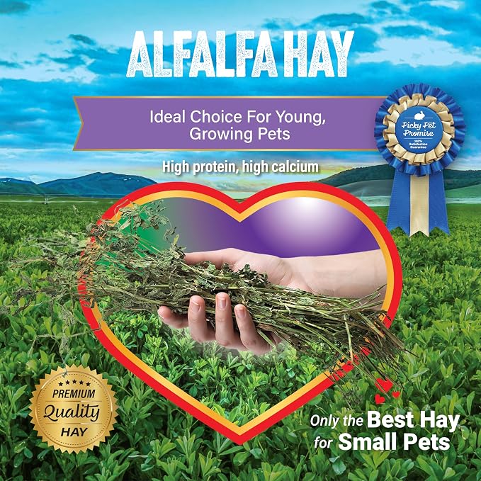 Small Pet Select Alfalfa Hay Pet Food, 2 lb.