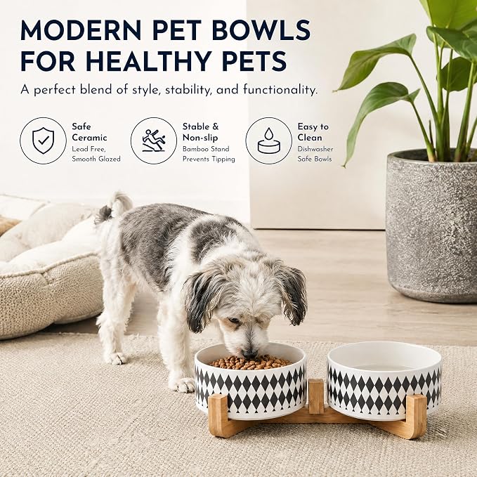 Petygooing Ceramic Dog Cat Bowl Set with Stand,Pet Food and Water Bowl,Small Dog Bowls Anti -Slip Set of 2 Cat Dishes Food Bowls Dish Small Size Pet (13.5OZ/5.1 in) Black Rhombus