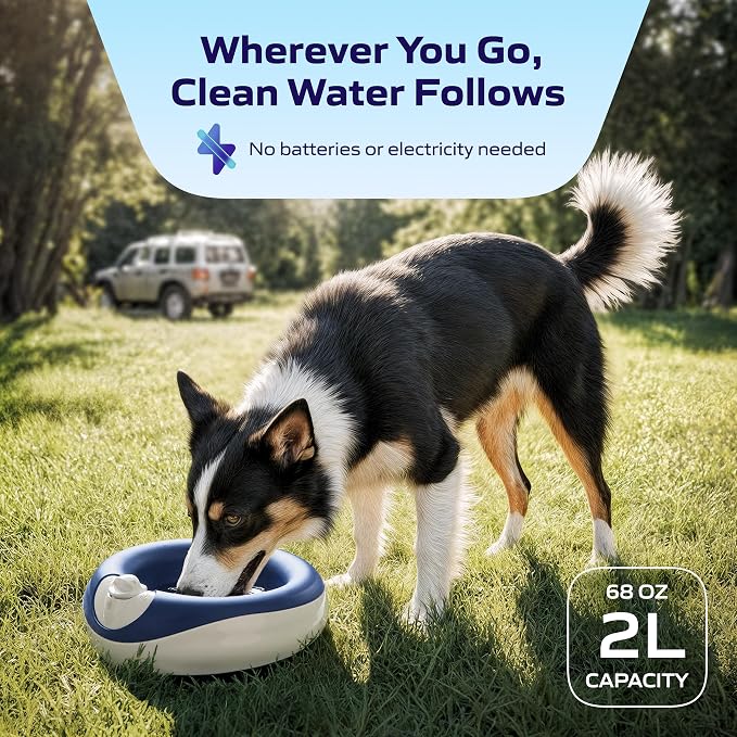 Torus Maxi Pet Portable Water Dispenser 68oz Plus 6-Months of Filters - No Power Required - Less Spills and Tipping - Use in the car - for Dogs and Cats