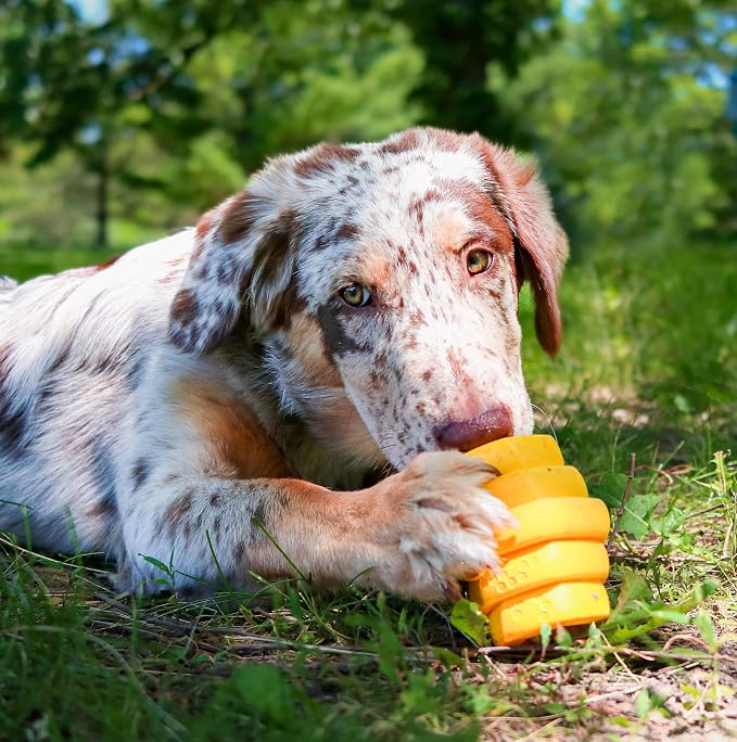 HIVE Parent (Unscented Yellow, Hive Chew Toy for Large Dogs)