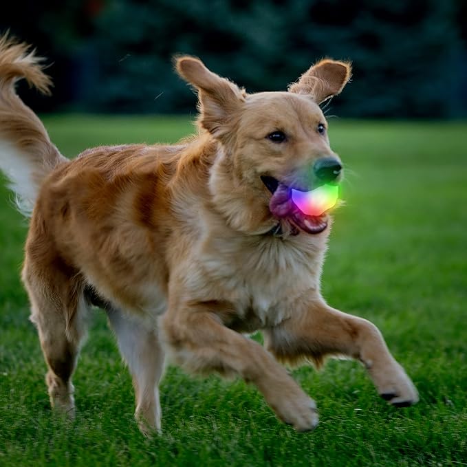 Nite Ize GlowStreak Wild LED Ball, Bouncy Motion Activated Light Up Dog Ball for High Energy Dogs, Disc-O