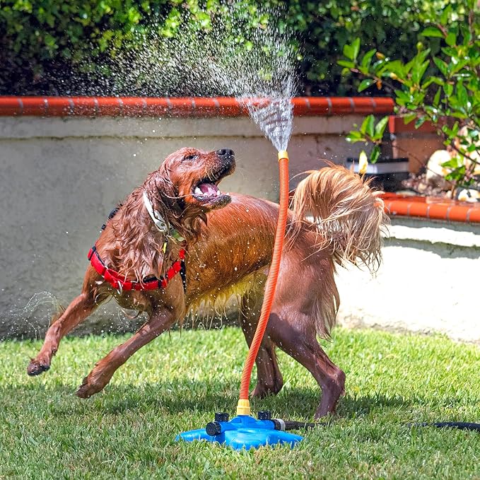 The Wave - The Ultimate Interactive Water Toy for Dogs