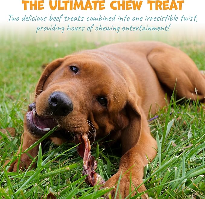 Pack Approved Long Lasting Dog Chews Bundle - Beef Cheek Rolls & Bull Beef Twists for Medium to Large Dogs