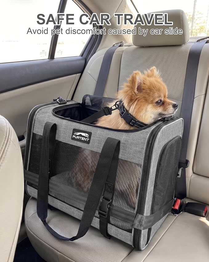 Soft-Sided Large Cat Carrier for 2 Cats, Spacious Foldable Pet Travel Carrier for Large Cats up to 25 Lbs, Double Cat Bag with Shoulder Strap, 20x13x13 Inch, Fits Maine Coon and Small Dogs, Grey