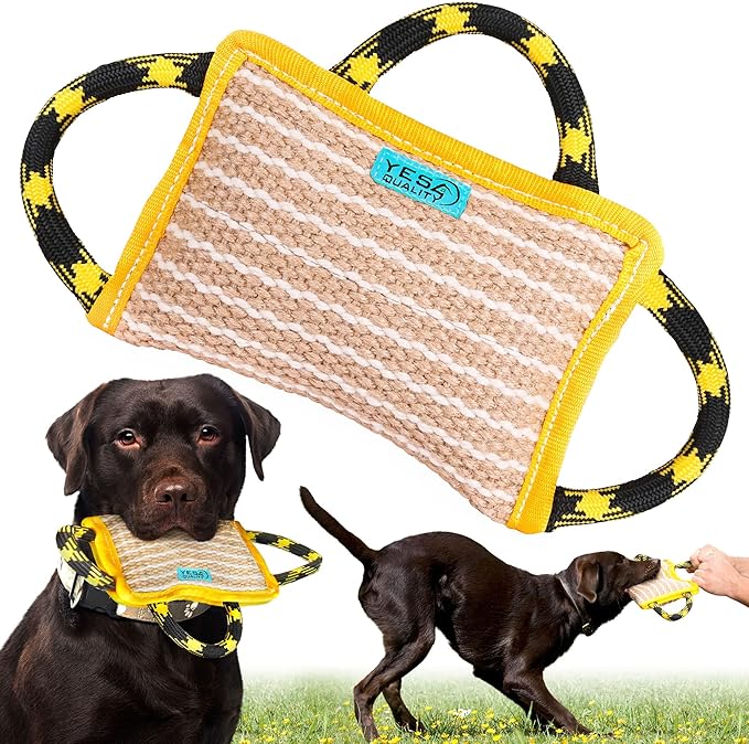 YES4QUALITY Dog Bite Pillow 10x7 & 33 Inch Flirt Pole Bundle