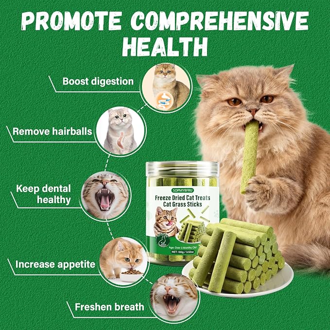 Cat Grass Teething Stick, 100g / 3.52oz Natural Cat Grass Treats for Indoor Cats, Cat Chew Stick for Hairball Cleaning, Appetite Boosting & Dental Health, Edible Cat Toys