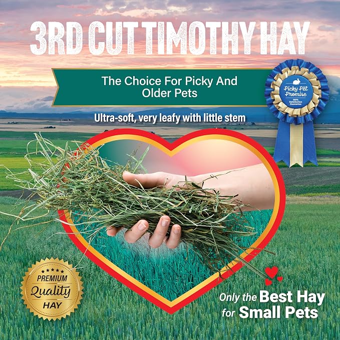 Small Pet Select 3rd Cutting Timothy Hay, Animal Food for Guinea Pig, Rabbit, Hamster, Bunny, or Chinchilla, Natural Hay Grown in The USA, 40lb