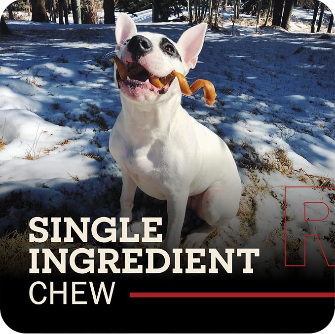 Redbarn Bully Spring Dog Chews 4"-6" 3-Count- 100% Natural Single Ingredient Beef Pizzle Spiral Sticks for Medium to Large Dogs - Rawhide Free Long Lasting Dental Chews