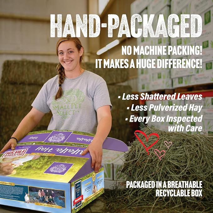 Small Pet Select Alfalfa Hay Pet Food for Young Rabbits, Guinea Pigs, Chinchillas, Tortoises and Other Small Animals, Easy to Store Box, 5 LB