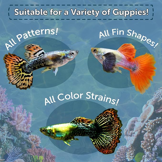 Premium Guppy and Endler Flake Food Also for Tetras, Zebras, All Nano and Micro Fish Also Pellet Mix, Wafer Mix Included…1-lb 2oz