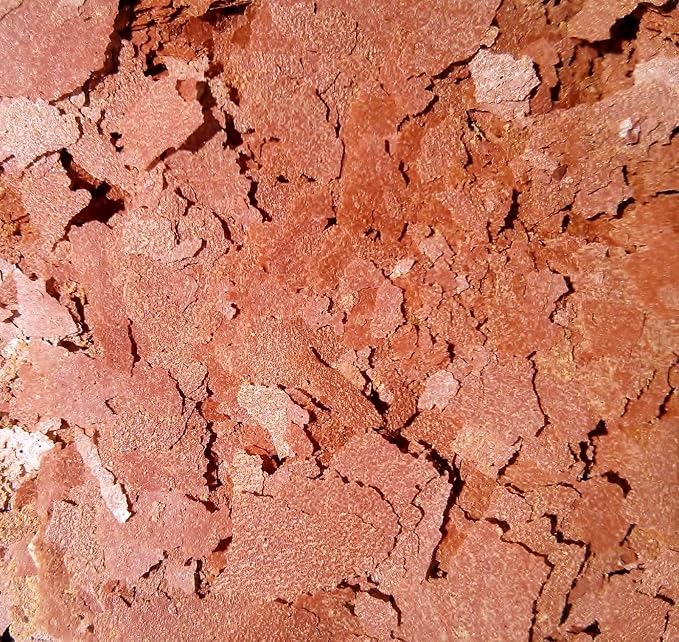 Bloodworm Flakes, High Protein Bloodworm Flakes for Discus, Cichlids, Tetras, Guppies, Live Bearers, All Community Tropical Fish - Premium AF Flakes - 2-lbs
