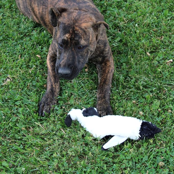 SPOT Skinneeez Stuffing Free Arctic Animal Dog Toy - with Squeaker in Head and Tail, Stuffingless Design is Great for Moderate Chewers, Tug Toy for Small Puppies & Dogs - 15in, Assorted Styles, 1 Toy