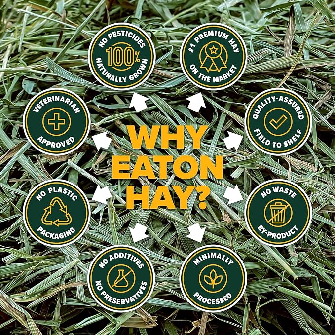 Eaton Pet and Pasture Naturally Grown, Premium, 1st Cut Blend, Western Timothy Hay Orchard Blend, Small Animal Food, Sustainable, Eco-Friendly, Farmer-Owned, 6LB-Box. (Pack of 2)