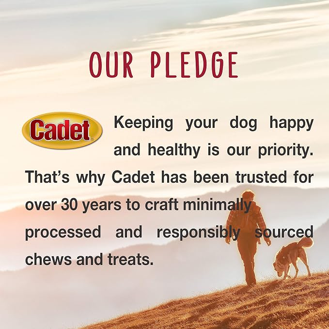 Cadet Bully Sticks for Small Dogs – All-Natural Beef Pizzle, High Protein, Low Fat, Long-Lasting, Grain & Rawhide-Free Dog Chews for Aggressive Chewers, Small (50 Count)