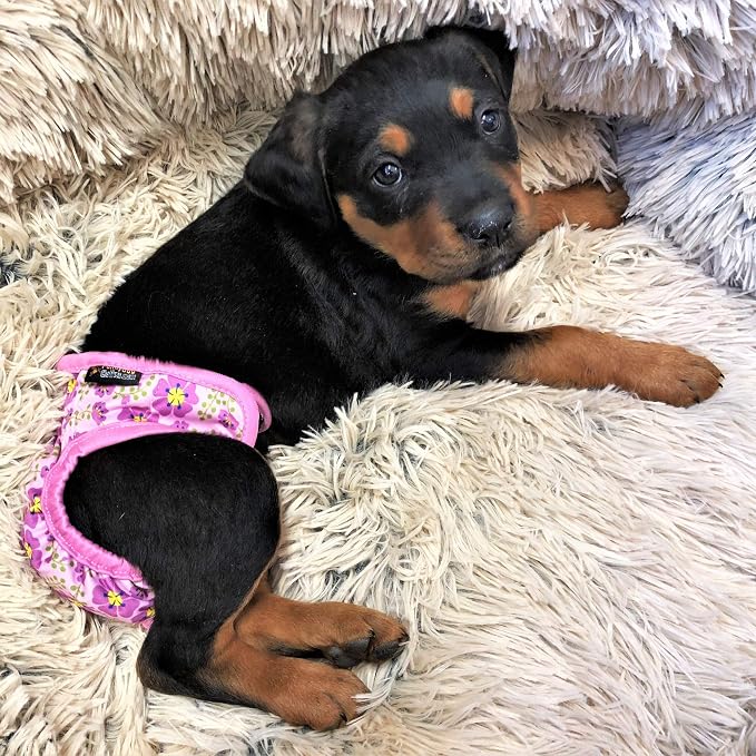 Pack of 3 Female Dog Diapers with 4 - Layers of Absorbent Pads Cat Panties Waterproof Leak Proof Washable (L: Waist 20" - 26", Neon Pattern)