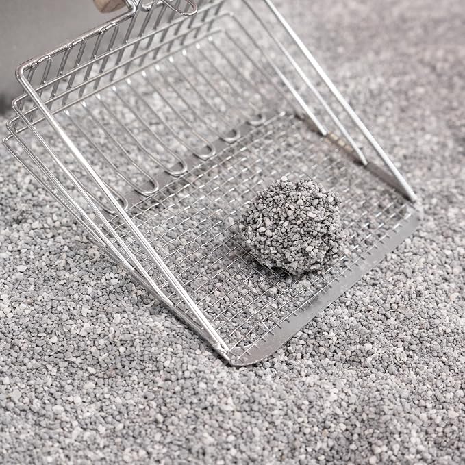 CLR2000A-SET2 Unscented Premium Clumping Bentonite Clay Cat Litter w/Activated Charcoal, Natural Odor Control, 99% Dust-Free, 18.7 LBS (Set of 2)