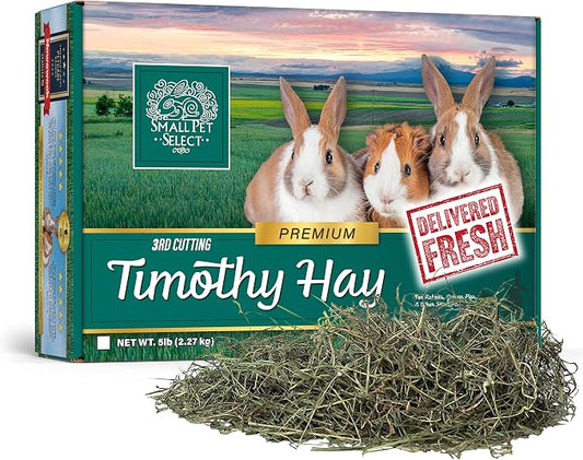 Small Pet Select 3rd Cutting Timothy Hay, Animal Food for Guinea Pig, Rabbit, Hamster, Bunny, or Chinchilla, Natural Hay Grown in The USA, 5lb