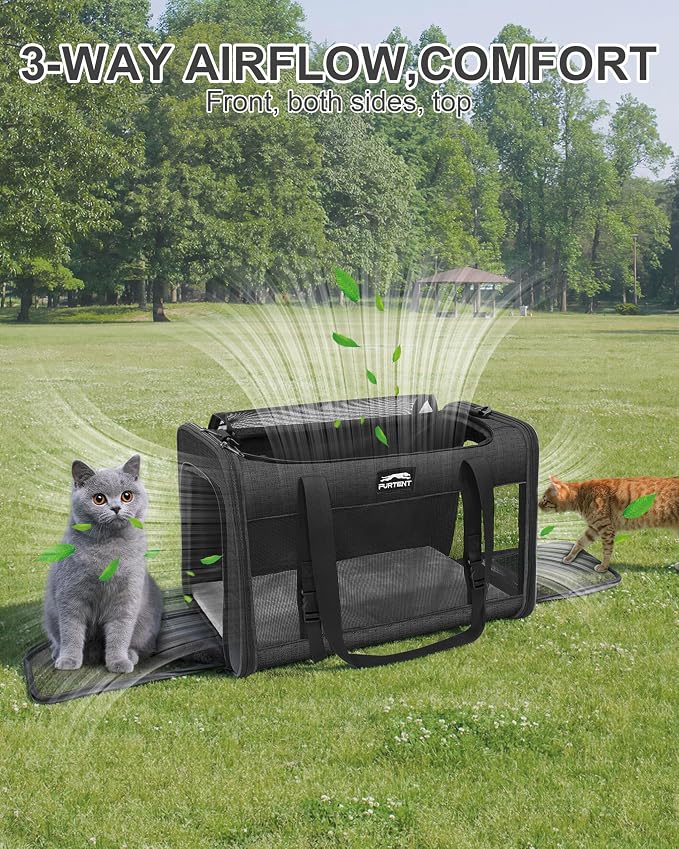 Soft-Sided Large Cat Carrier for 2 Cats, Spacious Foldable Pet Travel Carrier for Large Cats up to 25 Lbs, Double Cat Bag with Shoulder Strap, 20x13x13 Inch, Fits Maine Coon and Small Dogs, Black