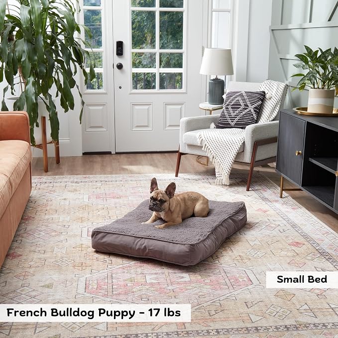 Happy Hounds Daisy Deluxe Supportive Sherpa Dog Bed, Small (36 x 24 in.), Pewter