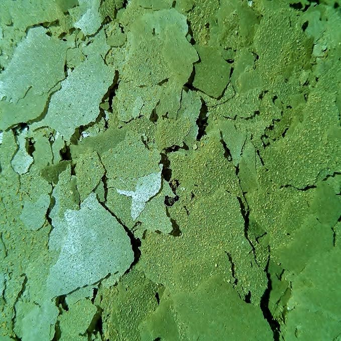 Cichlid Green GRO Spirulina Flakes, Discus, Angel Fish, Central & South American Cichlids for All Tropical Fish. Premium AF Flakes - 1/2-lb