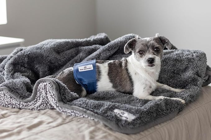 Pet Parents® Washable Belly Bands for Male Dogs (3pack) + Extendrs® of Durable Dog Diapers Male, Premium Male Dog Diapers & Dog Wraps (Small, Kingsmen)