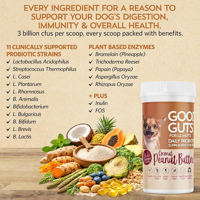 Fidobiotics Good Guts Probiotics for Dogs – Dog Probiotic Powder for Digestive Health, Gas Relief & Firmer Stools, 3B CFUs, Enzymes & Prebiotics, Small Dogs, Puppies & Adults