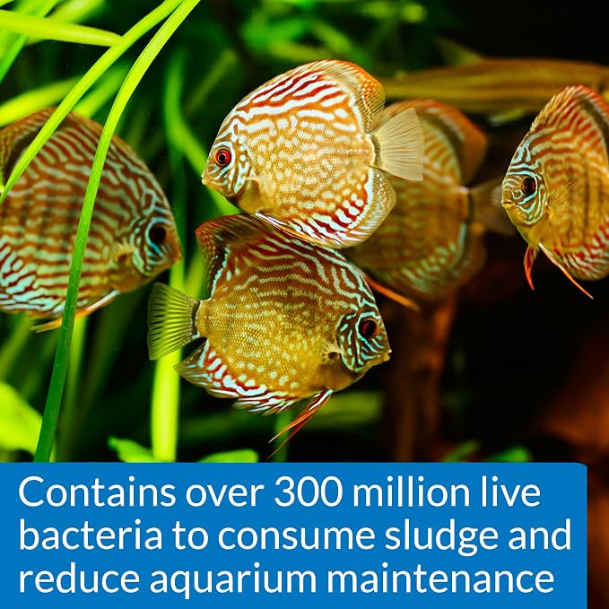 API Stress Zyme and Stress Coat Aquarium Cleaning and Water Conditioning Solutions