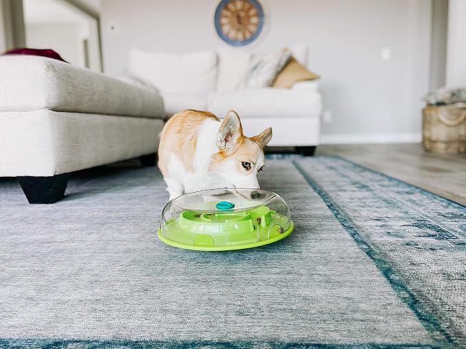 Outward Hound by Nina Ottosson Wobble Bowl Slow Feeder Dog Puzzle, Level 1 Beginner, 11.6 inches x 3.5 inches, Multicolored