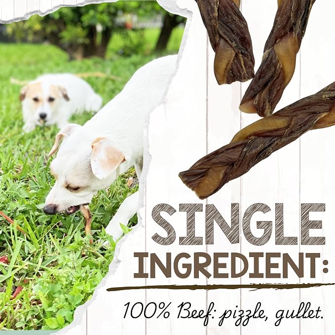 Nature Gnaws Braided Bully Twists for Dogs 5-6" (10 Count) - Long Lasting for Small and Medium Dogs - Natural Beef Dog Chew Bones