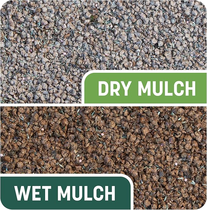 Pennington Smart Patch Tall Fescue Grass Seed, Tall Fescue 5lb Jug