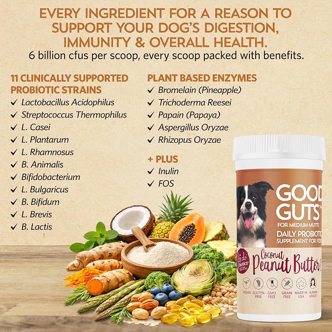 Fidobiotics Good Guts Probiotics for Dogs – Dog Probiotic Powder for Digestive Health, Gas Relief & Firmer Stools, 6B CFUs, Enzymes & Prebiotics, Medium Dogs, Puppies & Adults, Pack of 2