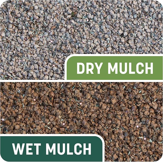 Pennington Smart Patch Grass Seeds for Lawn, Sun and Shade Lawn Grass Repair Mix, 10 LB