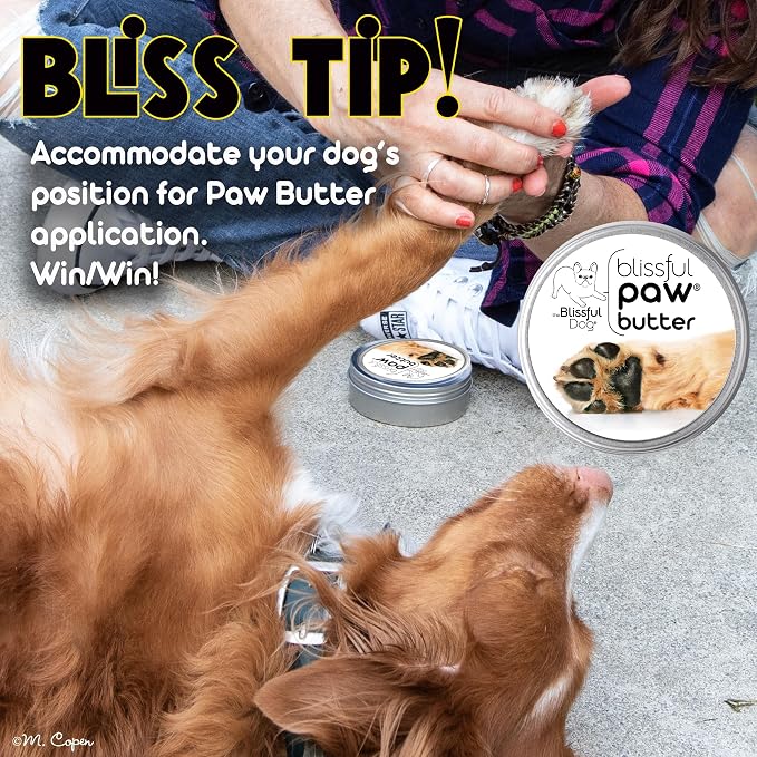 The Blissful Dog Paw Butter, Moisturizer for Dry Paw Pads, Softens and Protects a Rough Paw in Winter, Versatile, Lick-Safe Dog Paw Pad Balm, 4 oz.