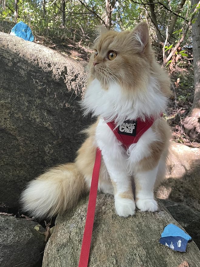Travel Cat x Argylle Replica Backpack Carrier and Travel Cat & Stray Cat Harness and Leash Set