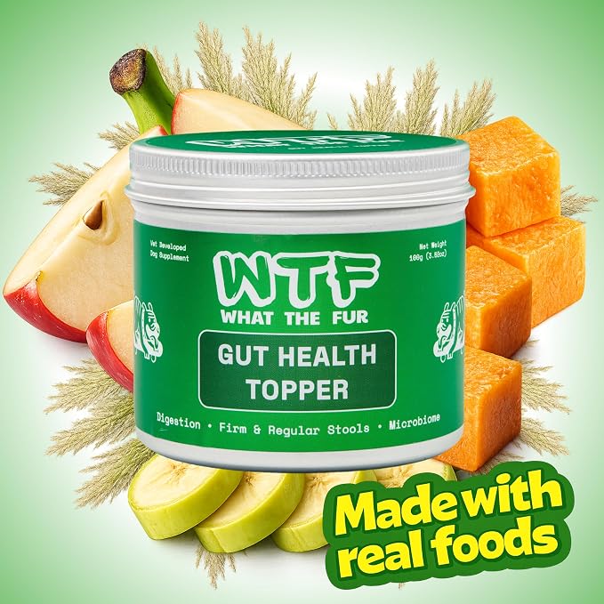 Gut Health Topper for Dogs – Digestive Support Powder with Real Beef, Pumpkin, Apple Fiber & Prebiotic Fiber | Helps Support Firm Stools, Sensitive Stomachs & Healthy Digestion | 100g